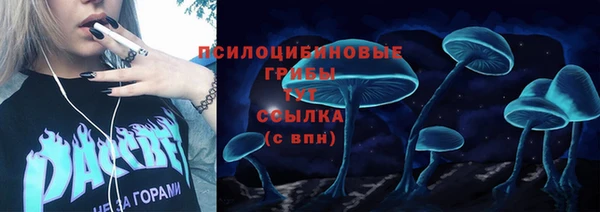 MDMA Premium VHQ Вяземский