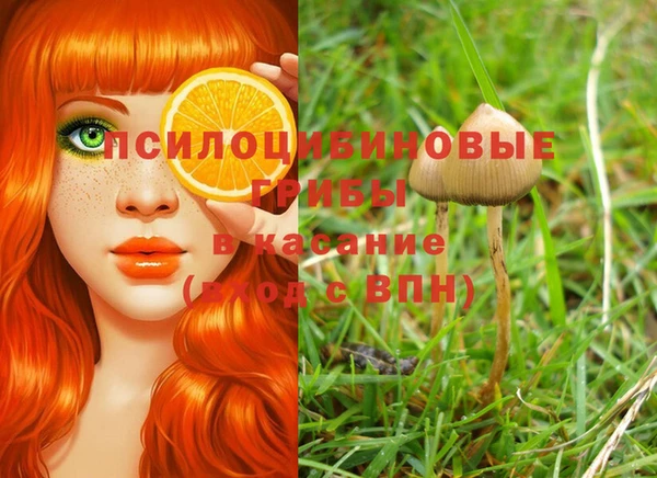 соль ск Вязники
